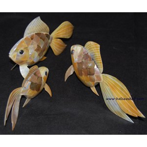 fish ornament mosaic from seashell / ornamen ikan mosaik dari kerang laut