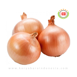 bawang bombai - bawang bombay - onion