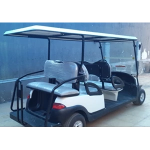 produsen mobil golf electric-3