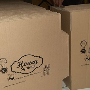 karton box packaging, arsip,kemasan, souvenir makanan sepatu