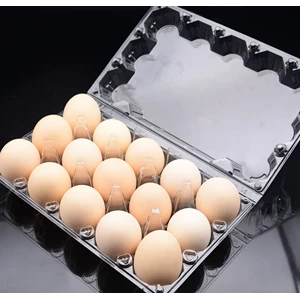 tray telur 15 cavity-1
