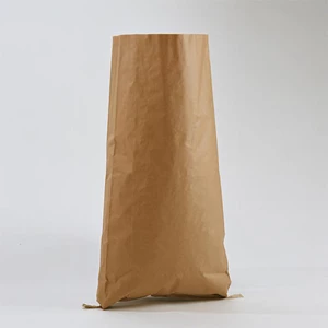 paper sack-3