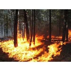 pompa punggung kebakaran hutan | jet shooter-4