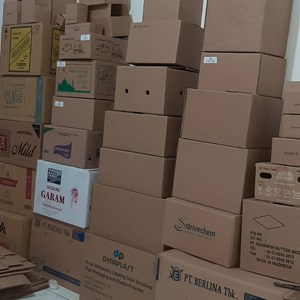 karton box-4