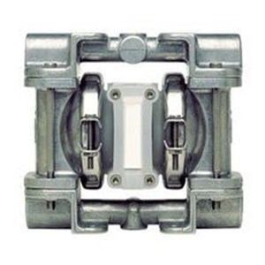 wilden diaphragm pump p.025/ssppp/bns/tf/sbn, p.025/szppp/tnl/tf/stv, p.025/ssppp/wfs/tf/swf