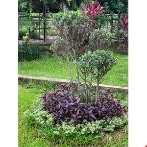 konstruksi taman samarinda-5