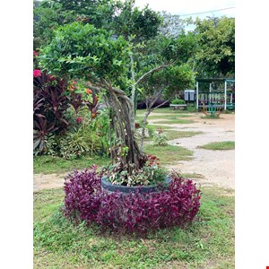 konstruksi taman samarinda