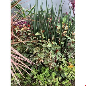 konstruksi taman samarinda-2