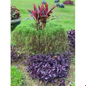 konstruksi taman samarinda-3