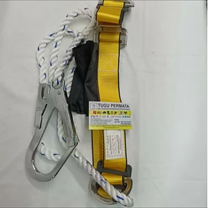 safety belt pro gosave