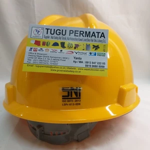helm safety msa standard-1