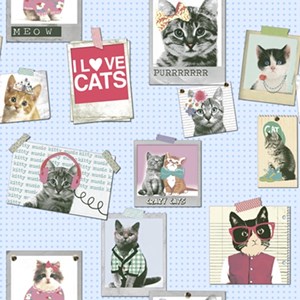 wallpaper dinding anak motif berbagai kucing/kitty hits/kucing trend-1