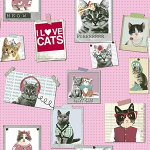 wallpaper dinding anak motif berbagai kucing/kitty hits/kucing trend