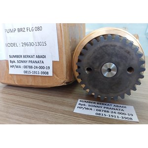 seawater pump jabsco 4255411 29630-1301s 29630-1201 sab34449 sabw10000-2