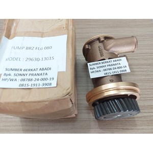 seawater pump jabsco 4255411 29630-1301s 29630-1201 sab34449 sabw10000-7