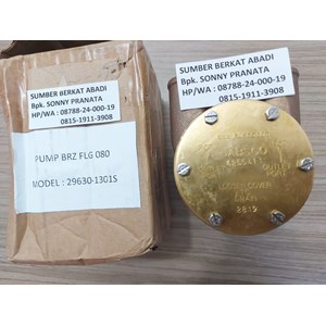seawater pump jabsco 4255411 29630-1301s 29630-1201 sab34449 sabw10000