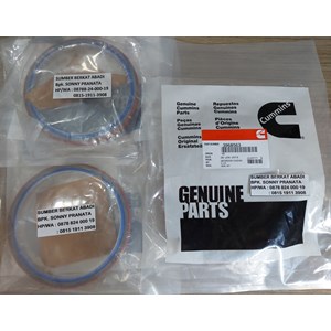 cummins 4982415 rear seal oil crankshaft 3968563-5