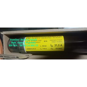 siba 3000613.31,5 31,5a 10/24 kv 442mm 80n 3000613.31.5 51006543m0-3