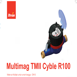 itron multimag tmii cyble r50 water meter 3/4in-2