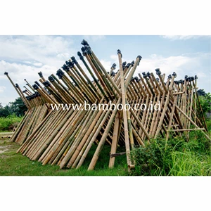 bamboo poles for construction and home decor, bambu alami-4
