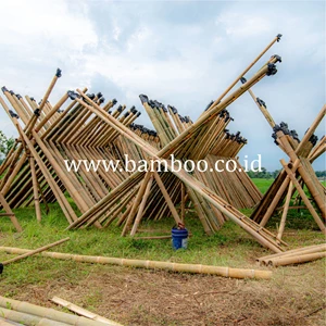 bamboo poles for construction and home decor, bambu alami-3