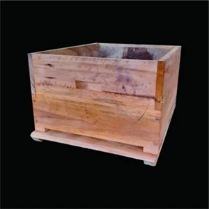 kotak lebah apis melifera (rakit sendiri) alat ternak lebah beekeeping-2