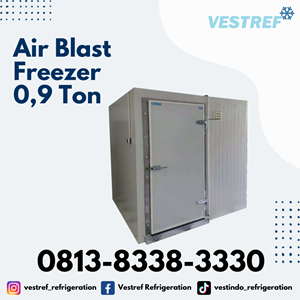air blast freezer kapasitas 0,9 ton cold storage-2