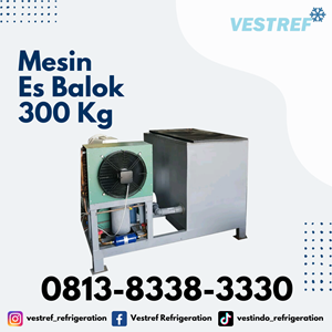 mesin es balok kapasitas 300 kg-2