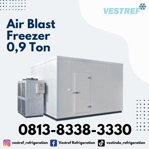 air blast freezer kapasitas 0,9 ton cold storage-4