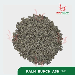 palm bunch ash (k20)