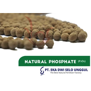 pupuk guano phosphate (p2o5)-1
