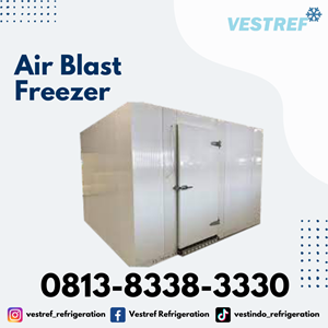 air blast freezer kapasitas 2,2 ton cold storage-3