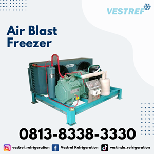 air blast freezer kapasitas 1,9 ton cold storage-2