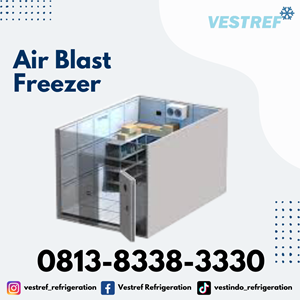 air blast freezer kapasitas 1,9 ton cold storage-3