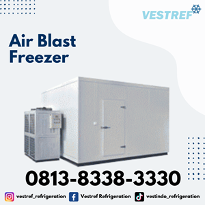 air blast freezer kapasitas 3 ton cold storage
