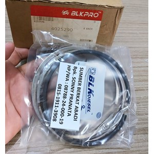 blk 4025290 4089351 ring piston 6ct - isi 3 ring untuk 1 piston