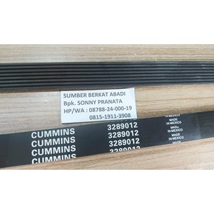 cummins 3289012 fan belt 3926866 v-belt-4