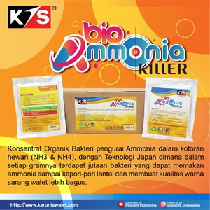 bio ammonia killer pembersih amonia gedung walet