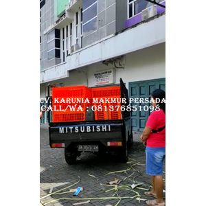 keranjang ayam cap jempol / keranjang plastik untuk ayam-2
