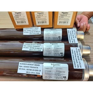 schneider cf-24/80 51006547mo 24 kv 80 a fuse 80a 004255014 3001443.80-4
