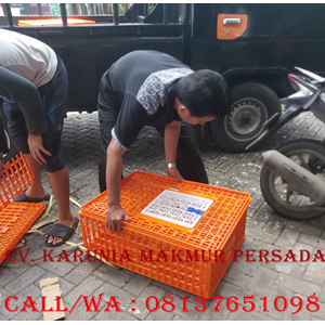 keranjang plastik untuk ayam cap jempol-3