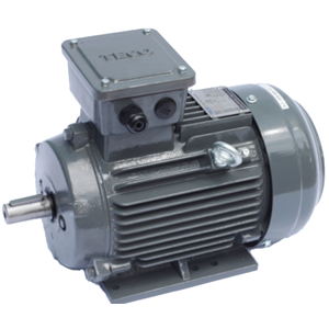 aesv1s electric motor teco