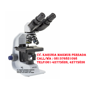 mikroskop binokuler optika b-159 ex. italy, microscope binocular