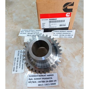 cummins 3008841 gear sea water pump k19 kta38-5