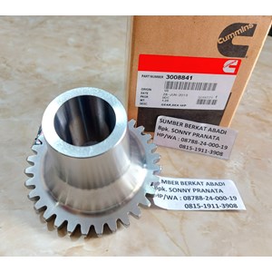 cummins 3008841 gear sea water pump k19 kta38-3