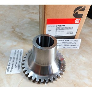 cummins 3008841 gear sea water pump k19 kta38-2
