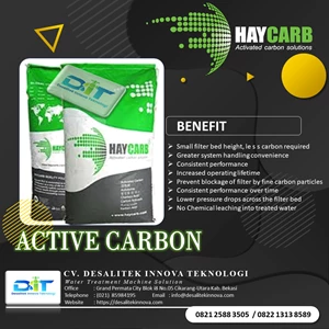 active carbon / carbon aktif hycarb