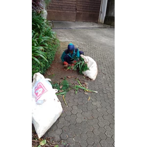 perawatan taman angkut sampah daun di perumahan cinere 03/03/2023