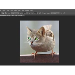 kursus photoshop anak sd