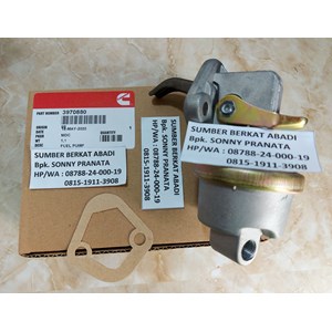 cummins 3970880 pump 4983584 3966154 3928143 3904374 3903583 3901425-2